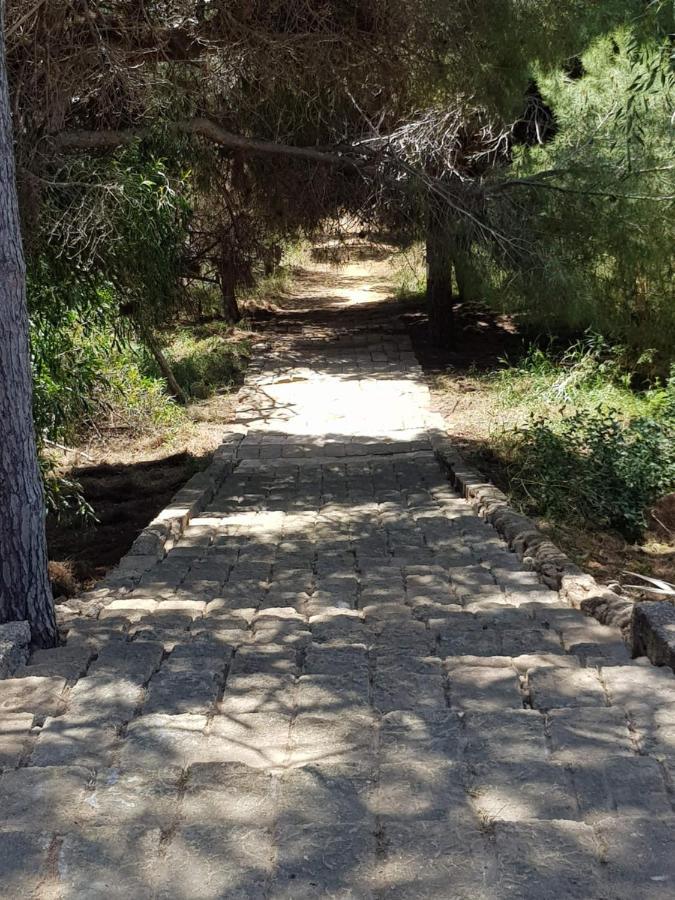 B&B Le Dune Beach San Leone Dış mekan fotoğraf