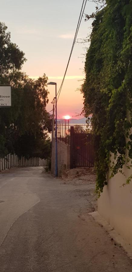 B&B Le Dune Beach San Leone Dış mekan fotoğraf