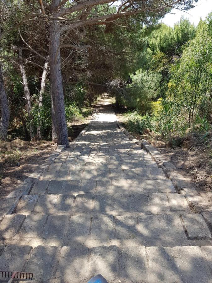 B&B Le Dune Beach San Leone Dış mekan fotoğraf